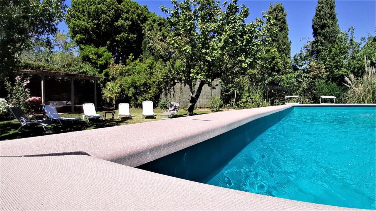 Вілла Casa Di Leo With Pool Radicondoli Екстер'єр фото
